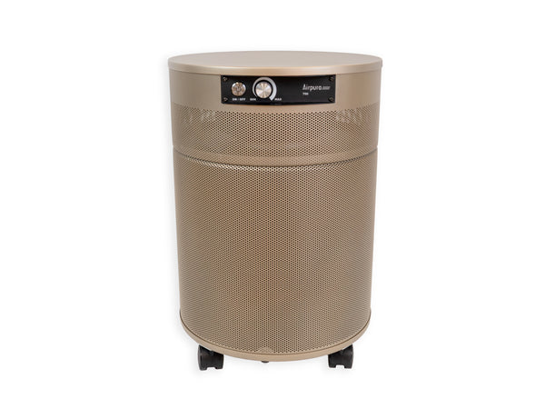 Airpura T700 DLX Air Purifier