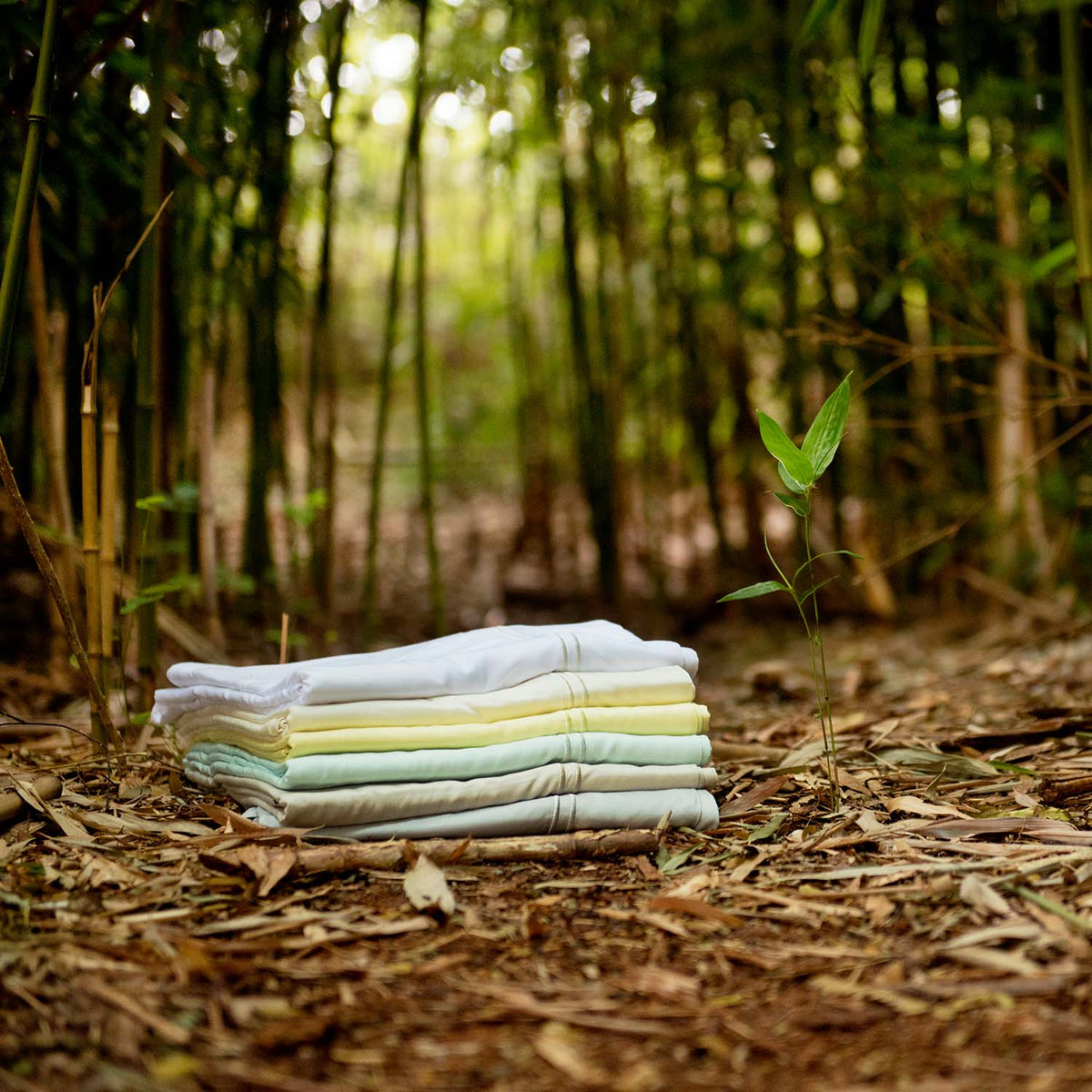 Malouf Rayon Bamboo Sheets-Purely Relaxation