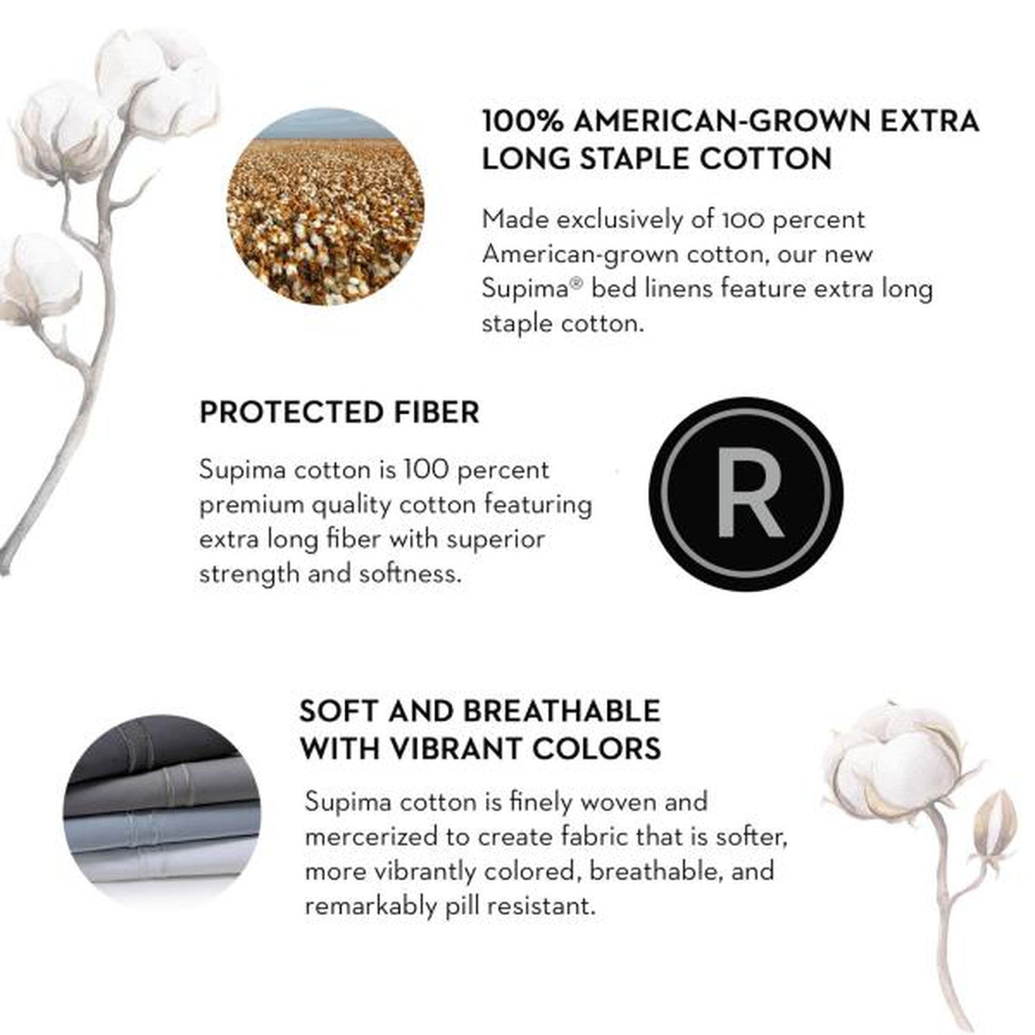 Malouf Woven Supima Sheet Set-Purely Relaxation
