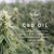 Malouf Zoned Dough™ + CBD Oil Pillow-Purely Relaxation