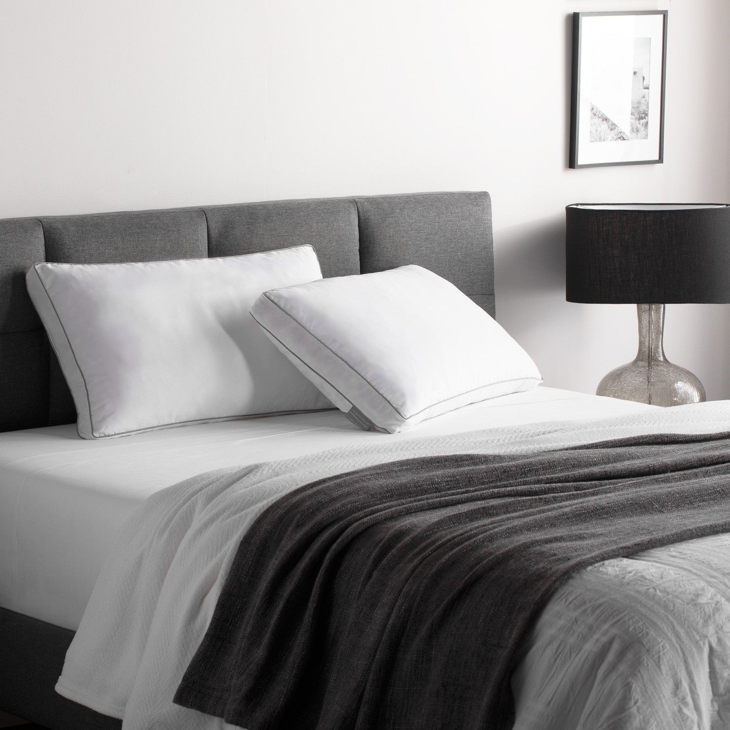 Weekender Shredded Memory Foam Pillow (2 Pack)-Purely Relaxation