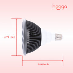 Hooga HG24