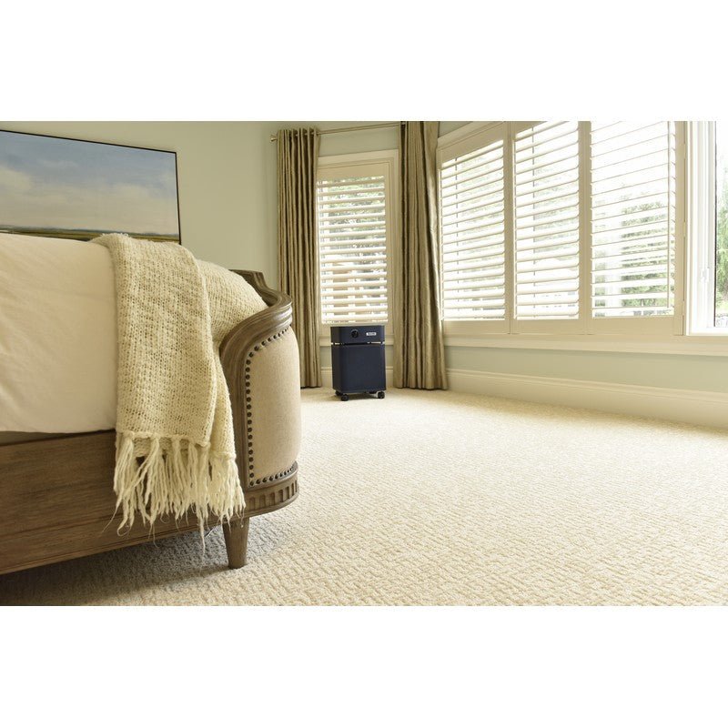 Austin Air Bedroom Machine Air Purifier - Purely Relaxation