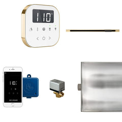 Mr. Steam AirButler Linear Steam Shower Control Package with AirTempo Control and Linear SteamHead - Purely Relaxation