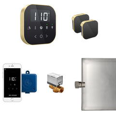 Mr. Steam AirButler Max Steam Shower Control Package with AirTempo Control and Aroma Glass SteamHead - Purely Relaxation