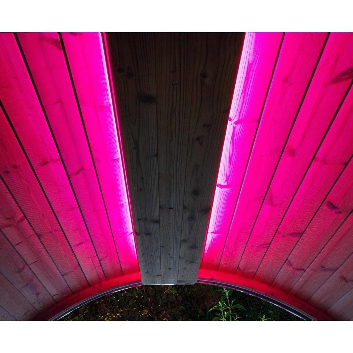 SaunaLife Emood Color Lighting for ERGO Sauna - Purely Relaxation