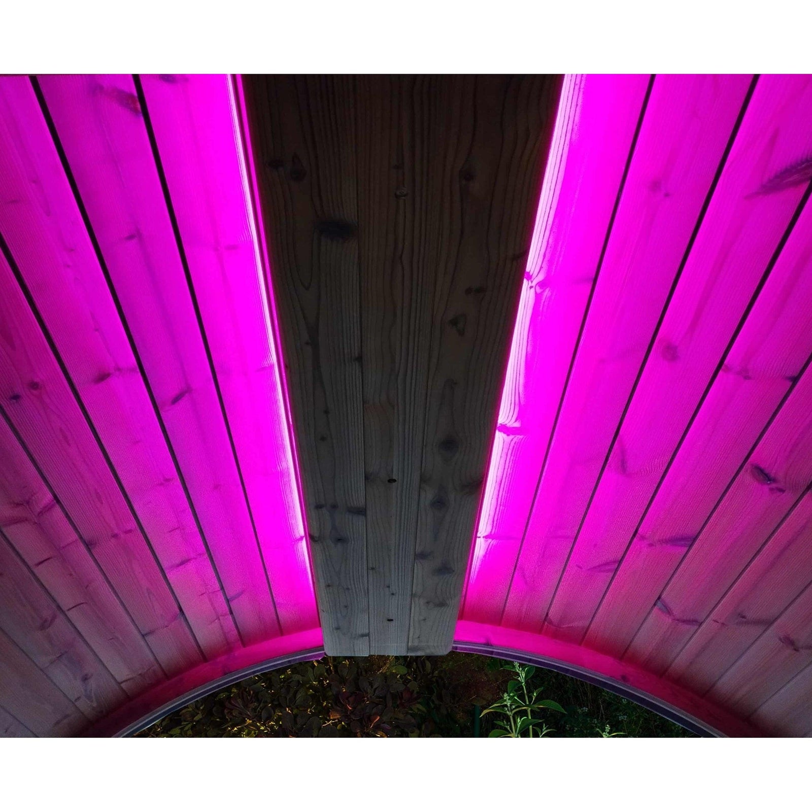SaunaLife Emood Color Lighting for ERGO Sauna - Purely Relaxation