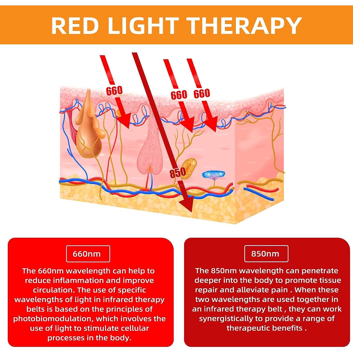 https://www.purelyrelaxation.com/cdn/shop/products/utk-technology-red-light-therapy-belt-for-body-pain-relief-4-in-1-infrared-light-therapy-flexible-wearable-device-m3gy1-01-a-659658.jpg?v=1694994510